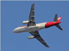 TAM航空(ブラジル).エアバスA319-132(PT-MZE)